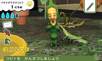 3DS「こびとづかん こびと観察セット」6月1日より「いつの間にテレビ」でTVCMを先行配信の画像1
