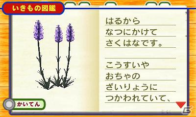 3DS「こびとづかん こびと観察セット」6月1日より「いつの間にテレビ」でTVCMを先行配信の画像9