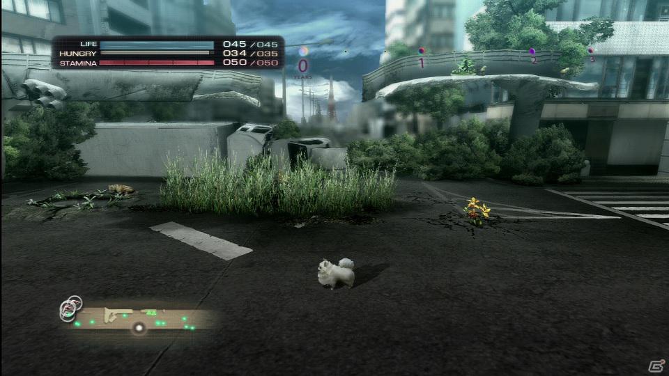 PS3「TOKYO JUNGLE」発売後に展開予定のダウンロードコンテンツを紹介！色違いのポメラニアンや動物が装備できるぬいぐるみも登場の画像1