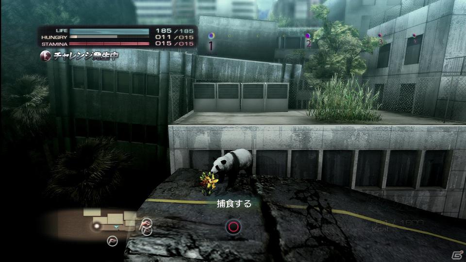 PS3「TOKYO JUNGLE」発売後に展開予定のダウンロードコンテンツを紹介！色違いのポメラニアンや動物が装備できるぬいぐるみも登場の画像11