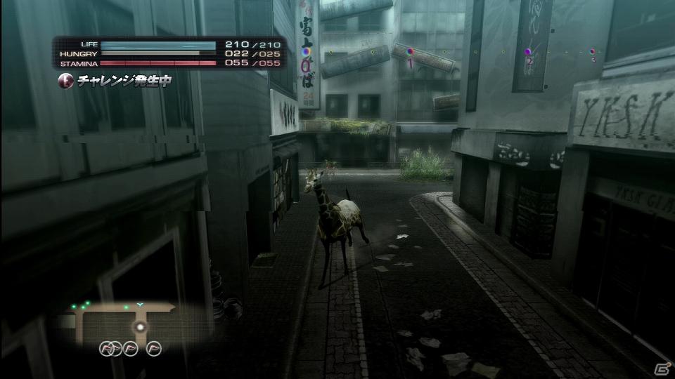 PS3「TOKYO JUNGLE」発売後に展開予定のダウンロードコンテンツを紹介！色違いのポメラニアンや動物が装備できるぬいぐるみも登場の画像13