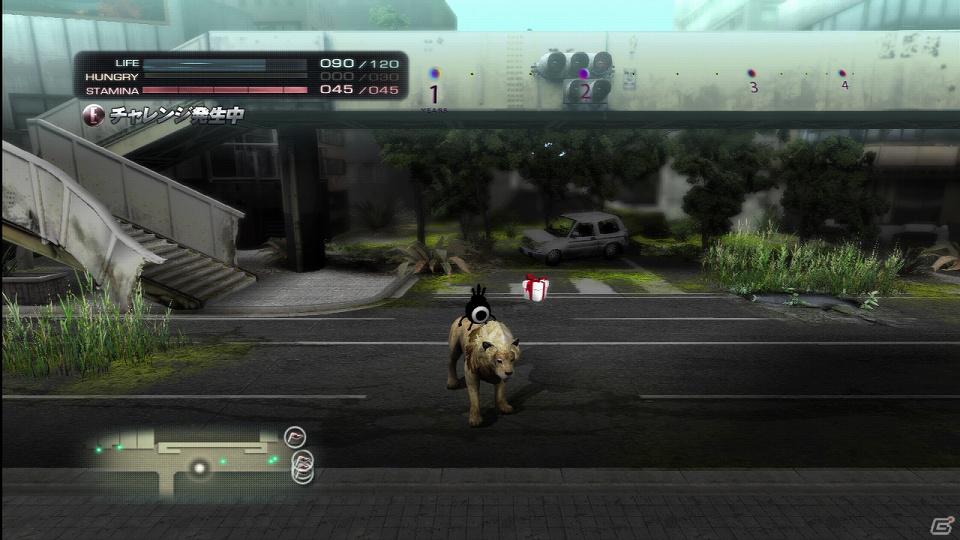 PS3「TOKYO JUNGLE」発売後に展開予定のダウンロードコンテンツを紹介！色違いのポメラニアンや動物が装備できるぬいぐるみも登場の画像23