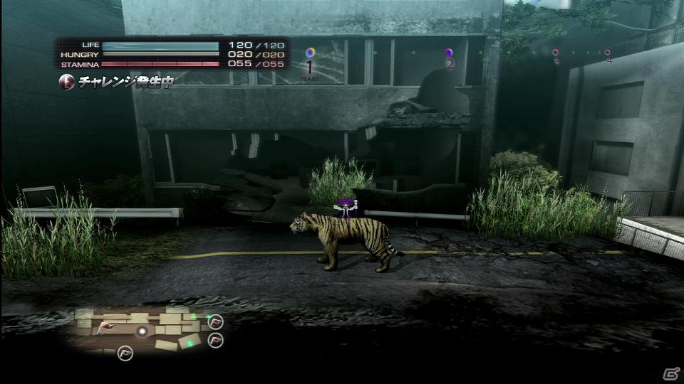 PS3「TOKYO JUNGLE」発売後に展開予定のダウンロードコンテンツを紹介！色違いのポメラニアンや動物が装備できるぬいぐるみも登場の画像25