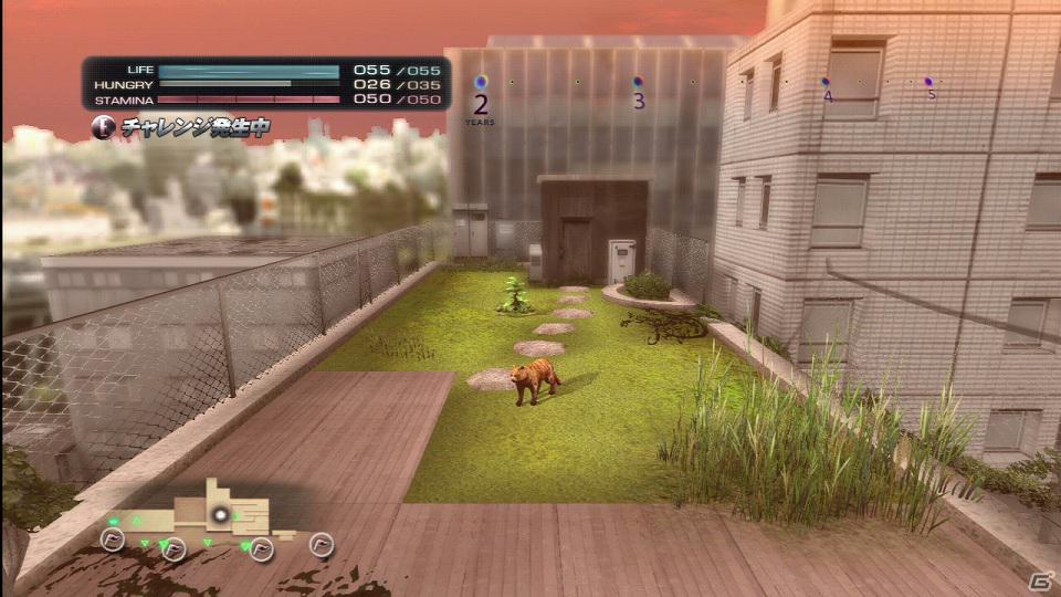 PS3「TOKYO JUNGLE」発売後に展開予定のダウンロードコンテンツを紹介！色違いのポメラニアンや動物が装備できるぬいぐるみも登場の画像5