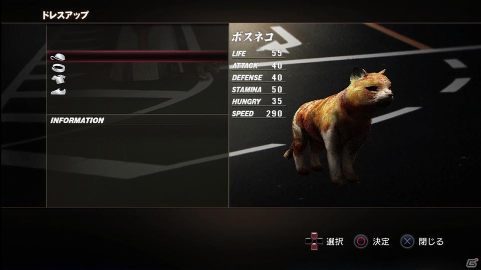 PS3「TOKYO JUNGLE」発売後に展開予定のダウンロードコンテンツを紹介！色違いのポメラニアンや動物が装備できるぬいぐるみも登場の画像6