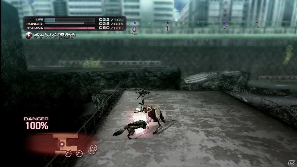 PS3「TOKYO JUNGLE」発売後に展開予定のダウンロードコンテンツを紹介！色違いのポメラニアンや動物が装備できるぬいぐるみも登場の画像7