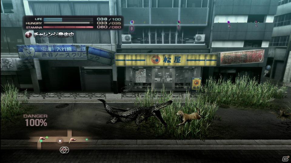 PS3「TOKYO JUNGLE」発売後に展開予定のダウンロードコンテンツを紹介！色違いのポメラニアンや動物が装備できるぬいぐるみも登場の画像9
