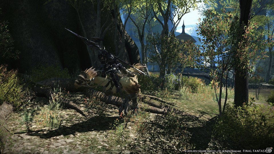 【E3 2012】新生「ファイナルファンタジーXIV」とは？その正体を探るため、プロデューサーを務める吉田直樹氏へインタビューを敢行の画像9