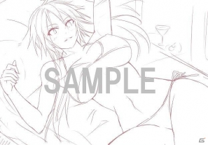 3DS/PSP「アンチェインブレイズ エクシヴ」著名イラストレーター描き下ろしとなるショップ限定予約特典のイラスト線画を公開の画像6