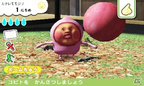 3DS「こびとづかん こびと観察セット」気になるゲーム内容を紹介！こびとはどこで捕まえられる！？の画像7