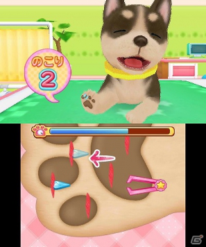 わんニャンどうぶつ病院2　3DS 一人前の獣医師をめざそう！3DS「わんニャンどうぶつ病院2