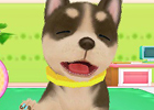 一人前の獣医師をめざそう！3DS「わんニャンどうぶつ病院2」ゲームシステムや収録される「お仕事ゲーム」の情報を公開