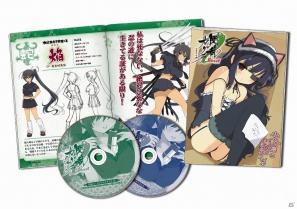 3DS「閃乱カグラ Burst -紅蓮の少女達-」先着購入特典の未来のビジュアルブック描き下ろし表紙が公開！サントラCDには主題歌のフルバージョンも収録の画像5