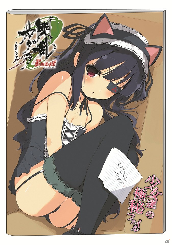 3DS「閃乱カグラ Burst -紅蓮の少女達-」先着購入特典の未来のビジュアルブック描き下ろし表紙が公開！サントラCDには主題歌のフルバージョンも収録の画像6