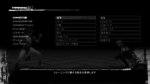 PS3/Xbox 360「DEAD OR ALIVE 5」タッグバトルの内容がわかるトレーラーを公開！さらに新キャラクター＆新ステージ情報もの画像14