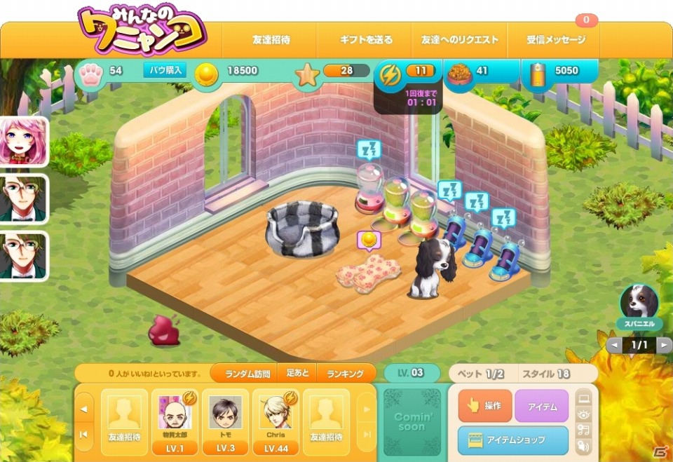 かわいいペットと生活しよう！ペット育成ゲーム「みんなのワニャンコ」Yahoo！Mobageにて7月24日よりサービススタートの画像5