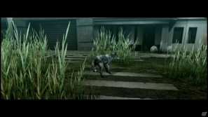 【サマゲー2012】PS3「TOKYO JUNGLE」人類が姿を消した東京で生き抜くサバイバルアクションを紹介！ポメだってテリアだってヒヨコだって凶暴なんだゾ！の画像10