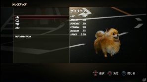 【サマゲー2012】PS3「TOKYO JUNGLE」人類が姿を消した東京で生き抜くサバイバルアクションを紹介！ポメだってテリアだってヒヨコだって凶暴なんだゾ！の画像109