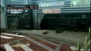 【サマゲー2012】PS3「TOKYO JUNGLE」人類が姿を消した東京で生き抜くサバイバルアクションを紹介！ポメだってテリアだってヒヨコだって凶暴なんだゾ！の画像115
