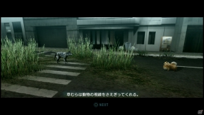 【サマゲー2012】PS3「TOKYO JUNGLE」人類が姿を消した東京で生き抜くサバイバルアクションを紹介！ポメだってテリアだってヒヨコだって凶暴なんだゾ！の画像12