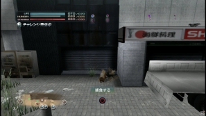 【サマゲー2012】PS3「TOKYO JUNGLE」人類が姿を消した東京で生き抜くサバイバルアクションを紹介！ポメだってテリアだってヒヨコだって凶暴なんだゾ！の画像120