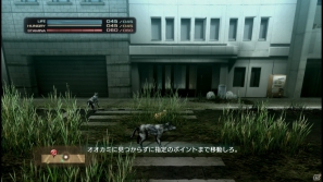 【サマゲー2012】PS3「TOKYO JUNGLE」人類が姿を消した東京で生き抜くサバイバルアクションを紹介！ポメだってテリアだってヒヨコだって凶暴なんだゾ！の画像17