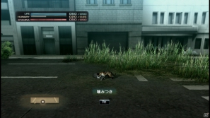 【サマゲー2012】PS3「TOKYO JUNGLE」人類が姿を消した東京で生き抜くサバイバルアクションを紹介！ポメだってテリアだってヒヨコだって凶暴なんだゾ！の画像30