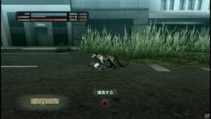 【サマゲー2012】PS3「TOKYO JUNGLE」人類が姿を消した東京で生き抜くサバイバルアクションを紹介！ポメだってテリアだってヒヨコだって凶暴なんだゾ！の画像32