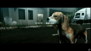 【サマゲー2012】PS3「TOKYO JUNGLE」人類が姿を消した東京で生き抜くサバイバルアクションを紹介！ポメだってテリアだってヒヨコだって凶暴なんだゾ！の画像34