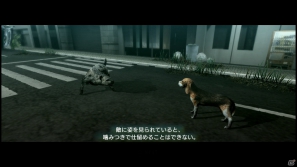【サマゲー2012】PS3「TOKYO JUNGLE」人類が姿を消した東京で生き抜くサバイバルアクションを紹介！ポメだってテリアだってヒヨコだって凶暴なんだゾ！の画像36