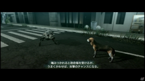 【サマゲー2012】PS3「TOKYO JUNGLE」人類が姿を消した東京で生き抜くサバイバルアクションを紹介！ポメだってテリアだってヒヨコだって凶暴なんだゾ！の画像45