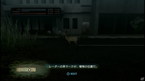 【サマゲー2012】PS3「TOKYO JUNGLE」人類が姿を消した東京で生き抜くサバイバルアクションを紹介！ポメだってテリアだってヒヨコだって凶暴なんだゾ！の画像56