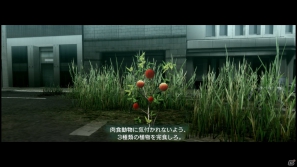 【サマゲー2012】PS3「TOKYO JUNGLE」人類が姿を消した東京で生き抜くサバイバルアクションを紹介！ポメだってテリアだってヒヨコだって凶暴なんだゾ！の画像57
