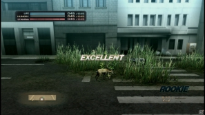 【サマゲー2012】PS3「TOKYO JUNGLE」人類が姿を消した東京で生き抜くサバイバルアクションを紹介！ポメだってテリアだってヒヨコだって凶暴なんだゾ！の画像60