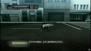 【サマゲー2012】PS3「TOKYO JUNGLE」人類が姿を消した東京で生き抜くサバイバルアクションを紹介！ポメだってテリアだってヒヨコだって凶暴なんだゾ！の画像68