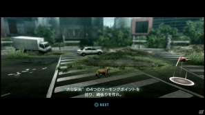 【サマゲー2012】PS3「TOKYO JUNGLE」人類が姿を消した東京で生き抜くサバイバルアクションを紹介！ポメだってテリアだってヒヨコだって凶暴なんだゾ！の画像74
