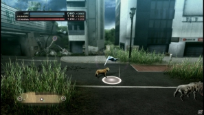 【サマゲー2012】PS3「TOKYO JUNGLE」人類が姿を消した東京で生き抜くサバイバルアクションを紹介！ポメだってテリアだってヒヨコだって凶暴なんだゾ！の画像77