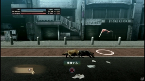 【サマゲー2012】PS3「TOKYO JUNGLE」人類が姿を消した東京で生き抜くサバイバルアクションを紹介！ポメだってテリアだってヒヨコだって凶暴なんだゾ！の画像79