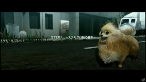 【サマゲー2012】PS3「TOKYO JUNGLE」人類が姿を消した東京で生き抜くサバイバルアクションを紹介！ポメだってテリアだってヒヨコだって凶暴なんだゾ！の画像8