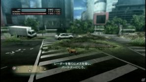 【サマゲー2012】PS3「TOKYO JUNGLE」人類が姿を消した東京で生き抜くサバイバルアクションを紹介！ポメだってテリアだってヒヨコだって凶暴なんだゾ！の画像83