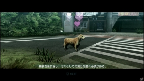 【サマゲー2012】PS3「TOKYO JUNGLE」人類が姿を消した東京で生き抜くサバイバルアクションを紹介！ポメだってテリアだってヒヨコだって凶暴なんだゾ！の画像85