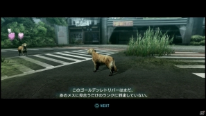 【サマゲー2012】PS3「TOKYO JUNGLE」人類が姿を消した東京で生き抜くサバイバルアクションを紹介！ポメだってテリアだってヒヨコだって凶暴なんだゾ！の画像86