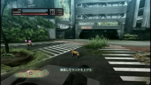 【サマゲー2012】PS3「TOKYO JUNGLE」人類が姿を消した東京で生き抜くサバイバルアクションを紹介！ポメだってテリアだってヒヨコだって凶暴なんだゾ！の画像87