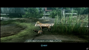 【サマゲー2012】PS3「TOKYO JUNGLE」人類が姿を消した東京で生き抜くサバイバルアクションを紹介！ポメだってテリアだってヒヨコだって凶暴なんだゾ！の画像89