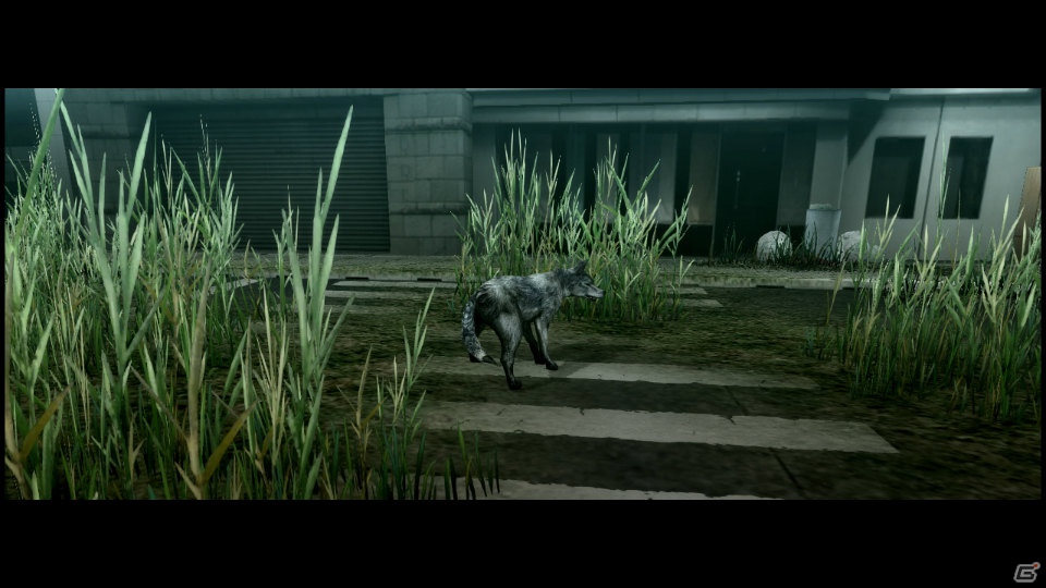 【サマゲー2012】PS3「TOKYO JUNGLE」人類が姿を消した東京で生き抜くサバイバルアクションを紹介！ポメだってテリアだってヒヨコだって凶暴なんだゾ！の画像10