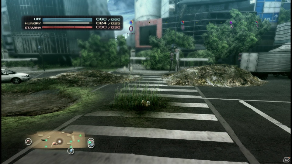 【サマゲー2012】PS3「TOKYO JUNGLE」人類が姿を消した東京で生き抜くサバイバルアクションを紹介！ポメだってテリアだってヒヨコだって凶暴なんだゾ！の画像102