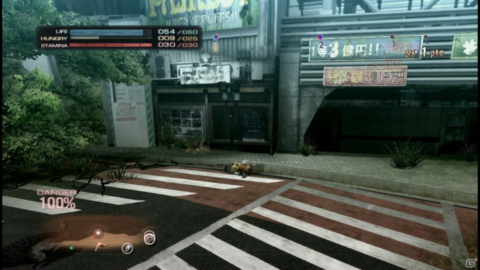 【サマゲー2012】PS3「TOKYO JUNGLE」人類が姿を消した東京で生き抜くサバイバルアクションを紹介！ポメだってテリアだってヒヨコだって凶暴なんだゾ！の画像104