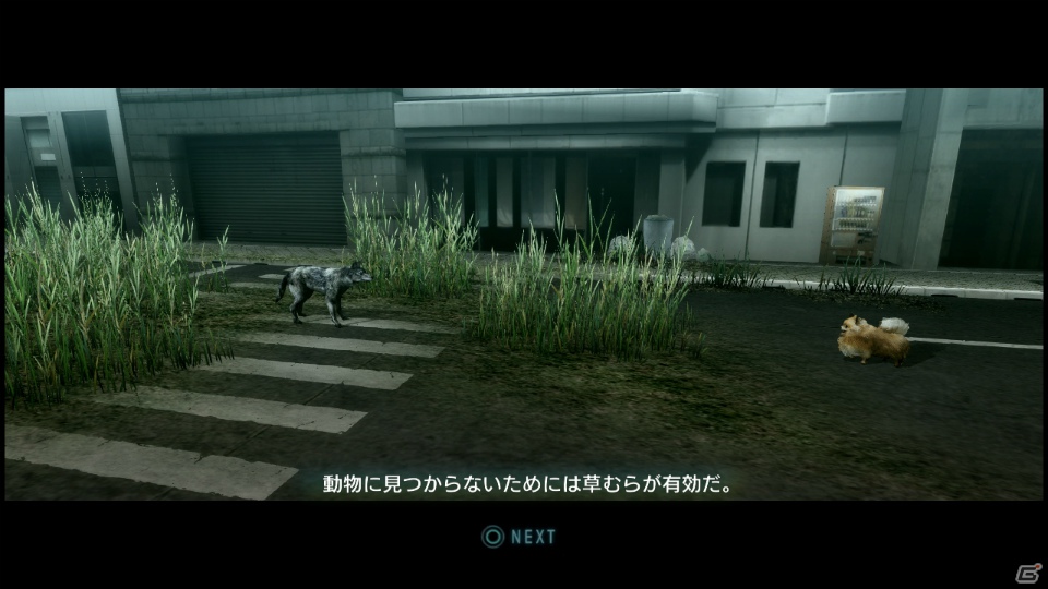 【サマゲー2012】PS3「TOKYO JUNGLE」人類が姿を消した東京で生き抜くサバイバルアクションを紹介！ポメだってテリアだってヒヨコだって凶暴なんだゾ！の画像11