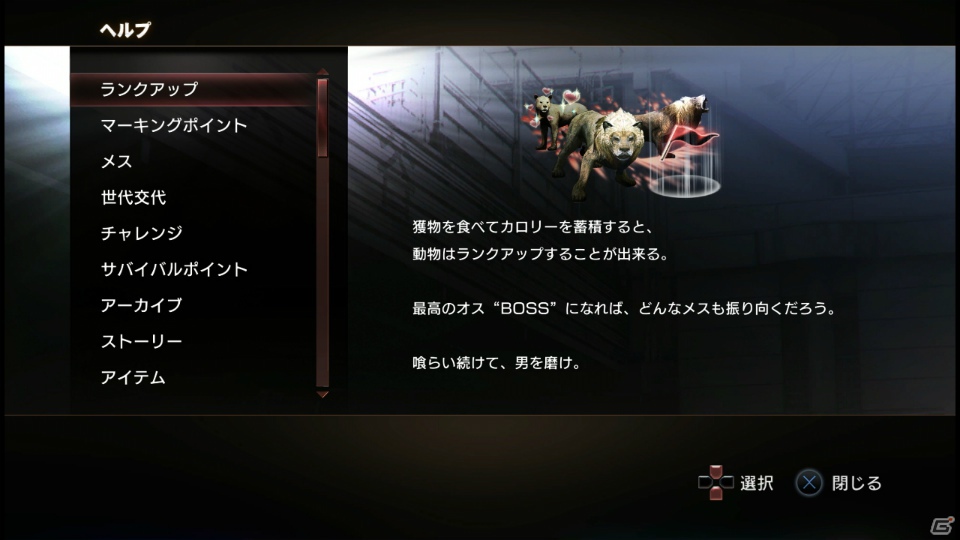 【サマゲー2012】PS3「TOKYO JUNGLE」人類が姿を消した東京で生き抜くサバイバルアクションを紹介！ポメだってテリアだってヒヨコだって凶暴なんだゾ！の画像110
