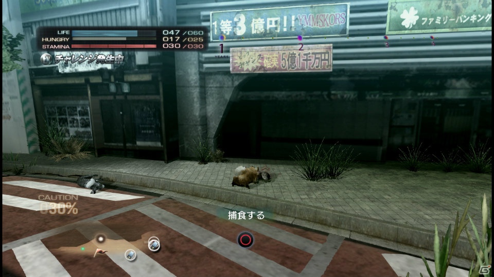 【サマゲー2012】PS3「TOKYO JUNGLE」人類が姿を消した東京で生き抜くサバイバルアクションを紹介！ポメだってテリアだってヒヨコだって凶暴なんだゾ！の画像114